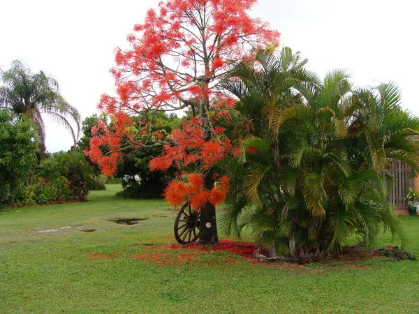 Sirpouralot Photography Gallery